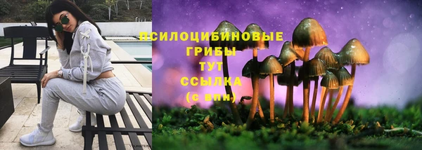 СК Абаза